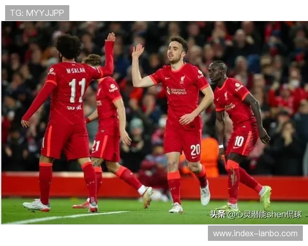 英超俱乐部基金会支持草根足球，培养下一代人才